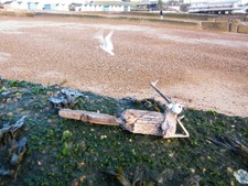Driftwood moose [sculpture]