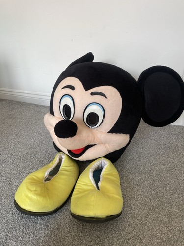 Full sized adult mickey - full, mouse