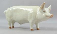 Beswick Wall  Champion Boy 53