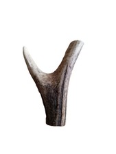 Irregular Stag Horn Fork (