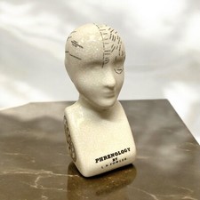 L.N Fowler Porcelain phrenology design 6 inch ceramic head