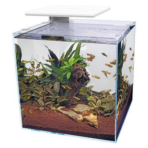 Superfish qubiq pro - qubiq, led