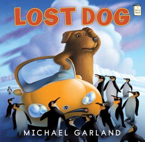 Lost dog - dog, (i