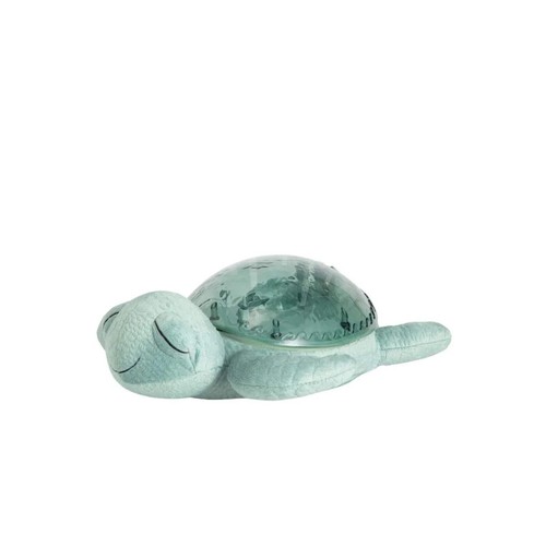 Cloud tranquil turtle - cloud.b,