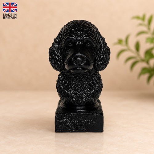 Labradoodle bust model - model,