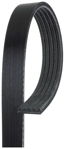 5pk858 gates ribbed belt for - gates, v-ribbed