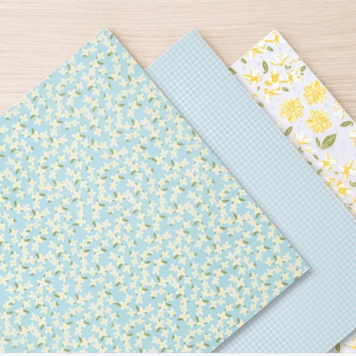 Stampin 6 3 - 12”,