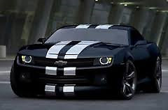 Gloss silver twin body stripes - gloss,