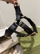 GUCCI Pet Dog Interlocking GG