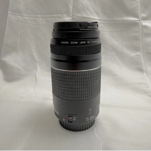 Canon 300mm 5 6 - f/4.0-5.6, iii