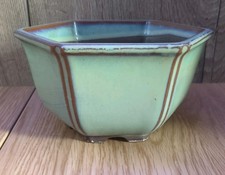 Mizutani Glazed Hexagon Bonsai