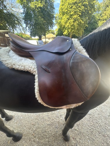 Passier saddle - 17”,