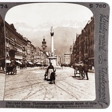 Maria-Theresien-Strasse & Dog