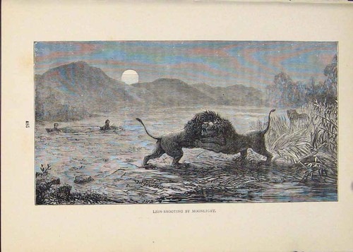 Original old antique - original, print