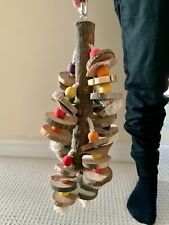 Giant Macaw Parrot Swing