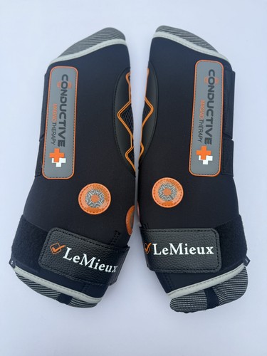 Lemieux conductive magno - lemieux,