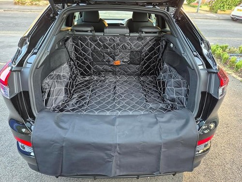 Car boot protector - car,