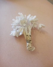 Antique Wax Flowers 1920s, 30s