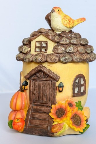 Acorn fairy house - acorn,