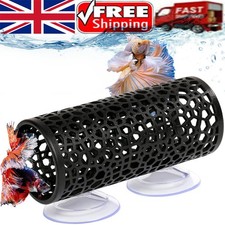 Betta Fish Toys Tank