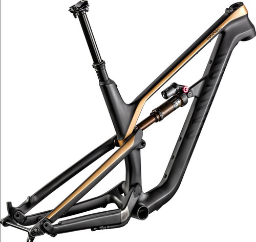 Frame pivot bearing - bearing, |