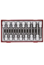 TENG TOOLS 1/2" LONG HEX & TX