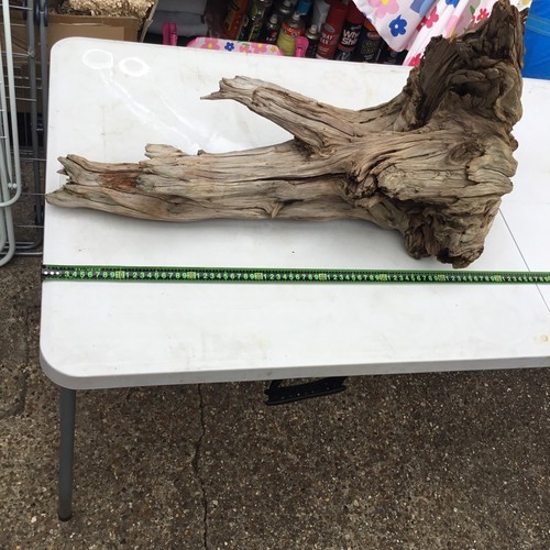 Large corbo root - corbo, aquarium