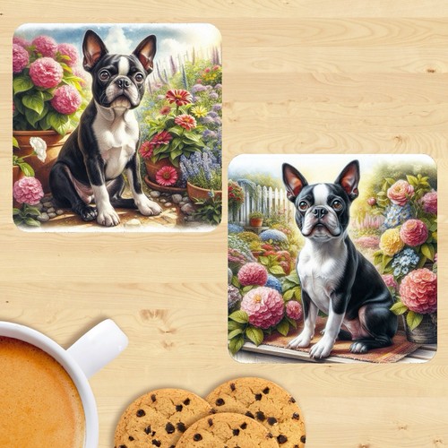 Boston terrier coasters - terrier,