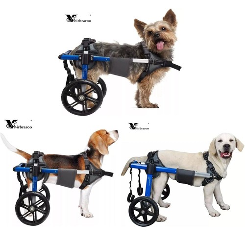 Used adjustable dog - used, wheelchair