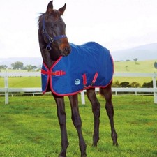 Weatherbeeta Original 1200D Foal/Small Pony Medium (220g) Turnout Rug 3'0"- 4'3"