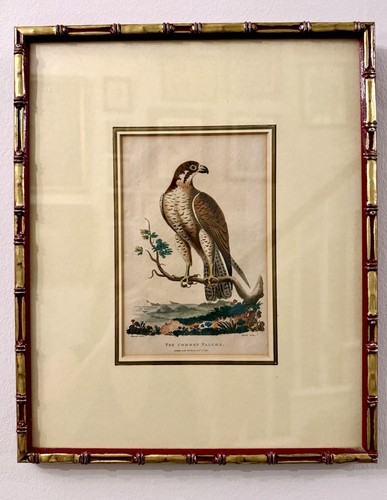 Antique 18th century coloured - century,