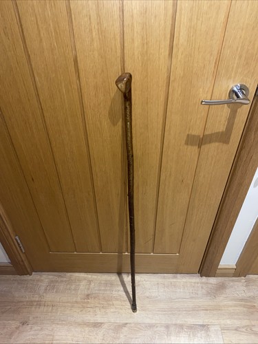 Traditional hazel walking - hazel,