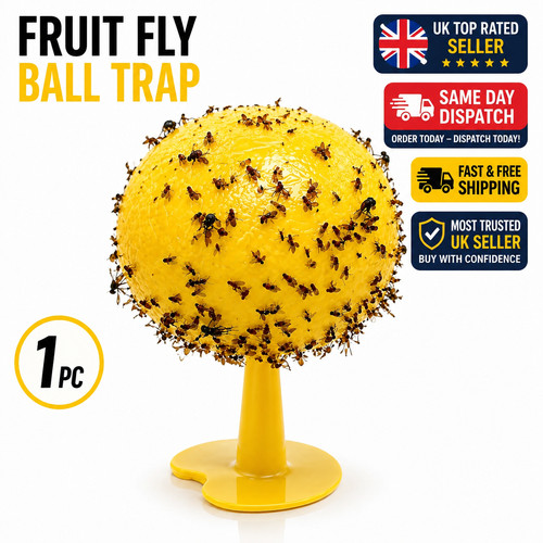 Fruit fly balls - fly, ball