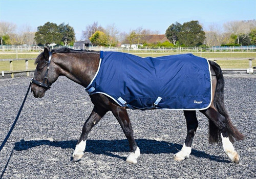 Rhinegold horse walker lunge - horse, walker/lunge