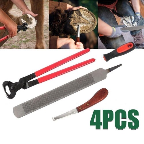 Farriers tools horse hoof - tools,