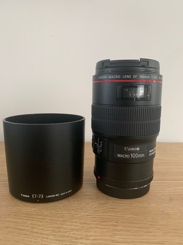 Canon 100mm 8l - canon, is