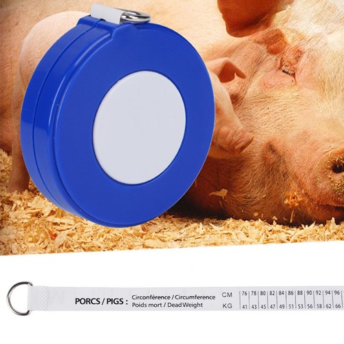 Cattle pig body - pig, tape