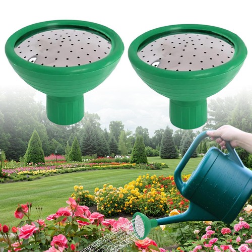 Garden watering can rose - garden,