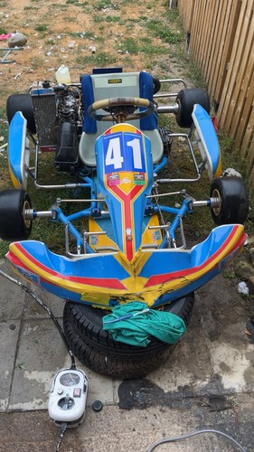 125cc rotax senior kart - senior, go