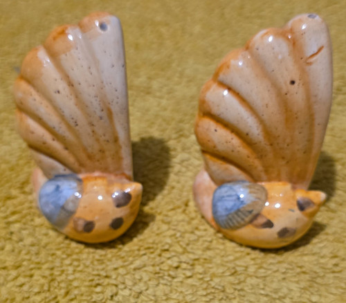 Shell snail salt - salt, and