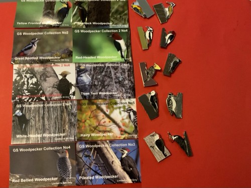 None rspb badges collection - gs,