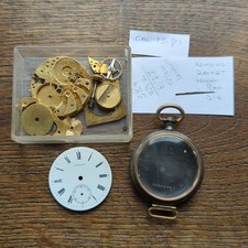 Longines 13.81 Watch Project