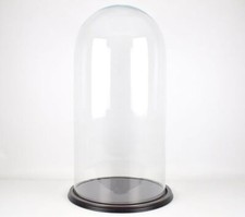 Glass Dome With Wooden Base Cloche Bell Jar Vintage Look Large Height 71,5 x ...