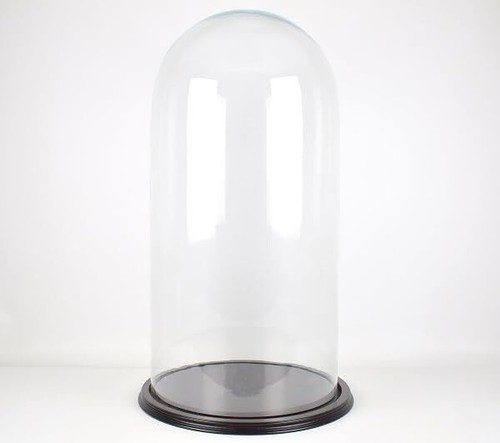 Glass dome with wooden base - glass,