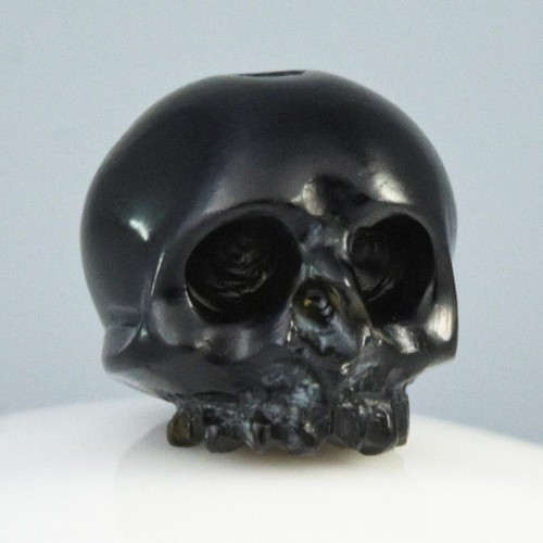 Human skull genuine - genuine, meteor