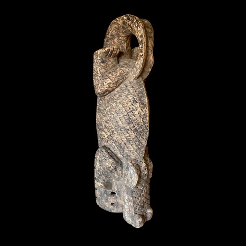 Rare african tribal crocodile - african,