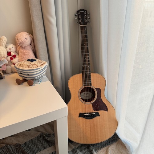 Taylor mini acoustic - taylor, gs