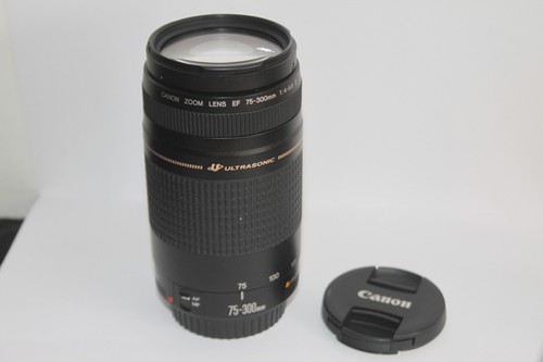 Canon eos 300mm 4 - ef, f/4-5.6