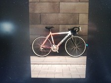 Road Bike – Lightweight, and comfortable.  A fantastic deal.