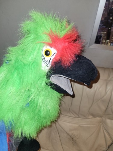 Parrot ventriloquist dummy - ventriloquist,